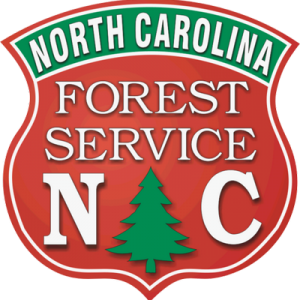 nc forest service