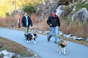 Year of the Trail