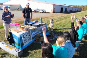 Environmental Field Days